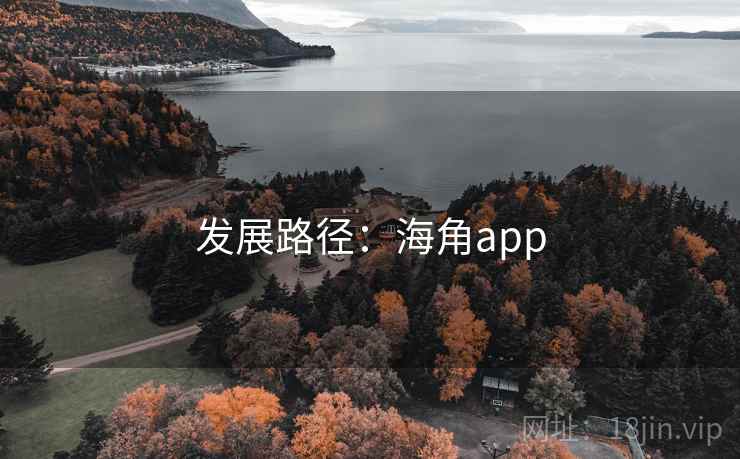 发展路径：海角app