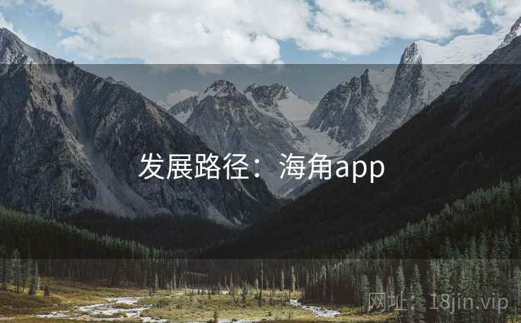 发展路径：海角app