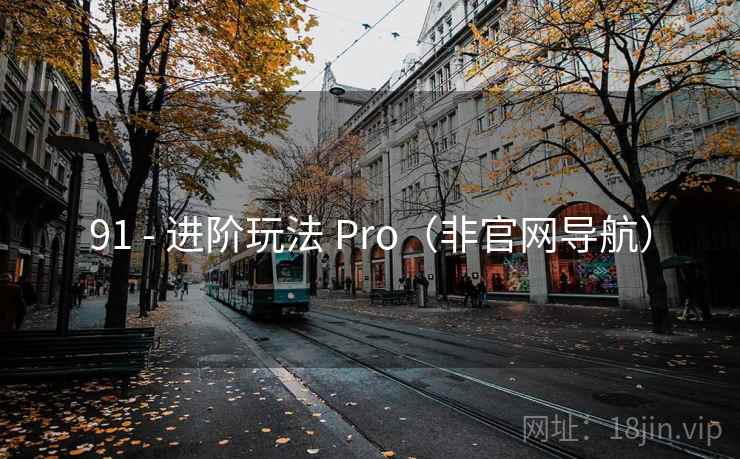 91 - 进阶玩法 Pro（非官网导航）