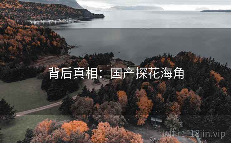 背后真相:国产探花海角