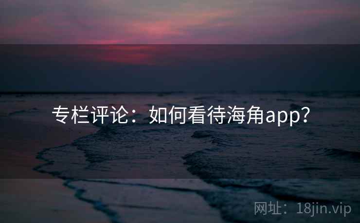 专栏评论:如何看待海角app?