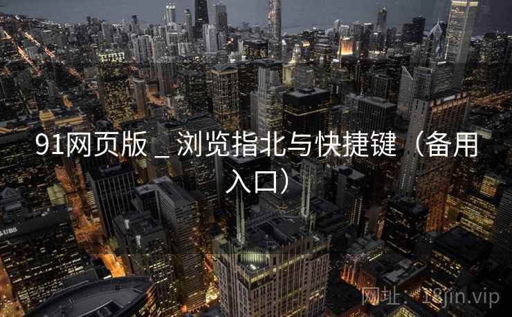 91网页版 _ 浏览指北与快捷键(备用入口)